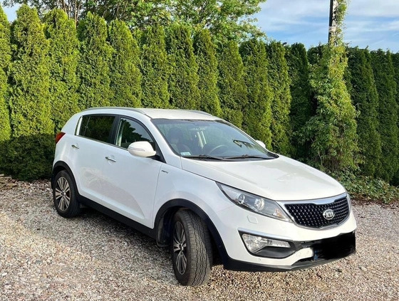 Kia Sportage cena 49900 przebieg: 240000, rok produkcji 2014 z Brodnica małe 16